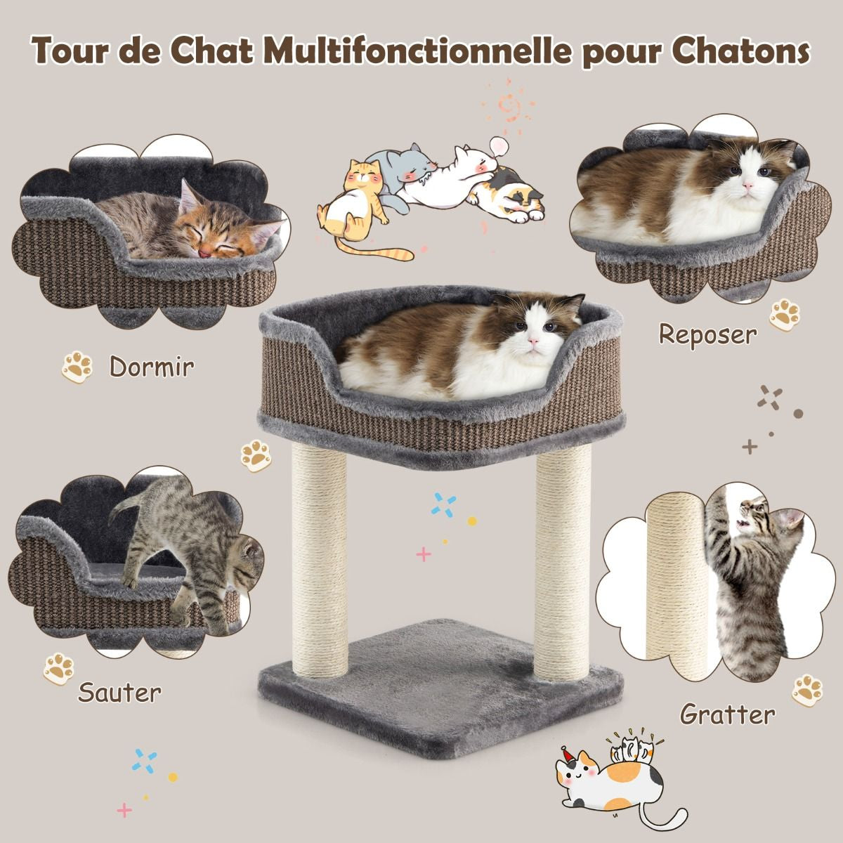 Tour D'Arbre À Chat Compacte Avec Perchoir En Peluche Et Griffoirs Pour Se Faire Ses Griffes