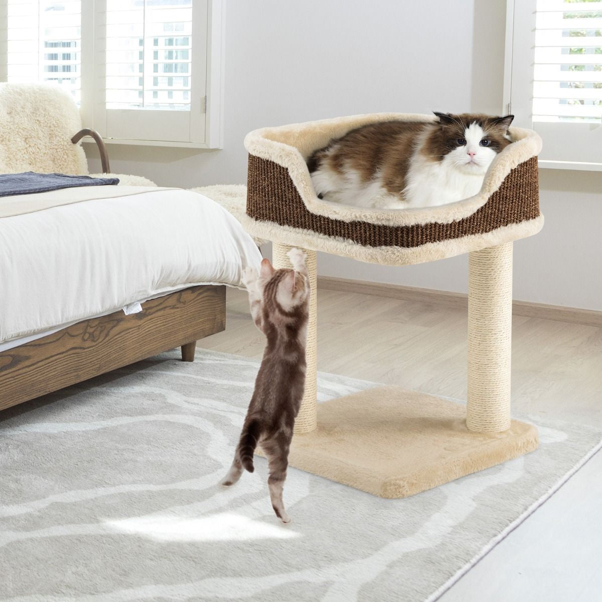 Tour D'Arbre À Chat Compacte Avec Perchoir En Peluche Et Griffoirs Pour Se Faire Ses Griffes