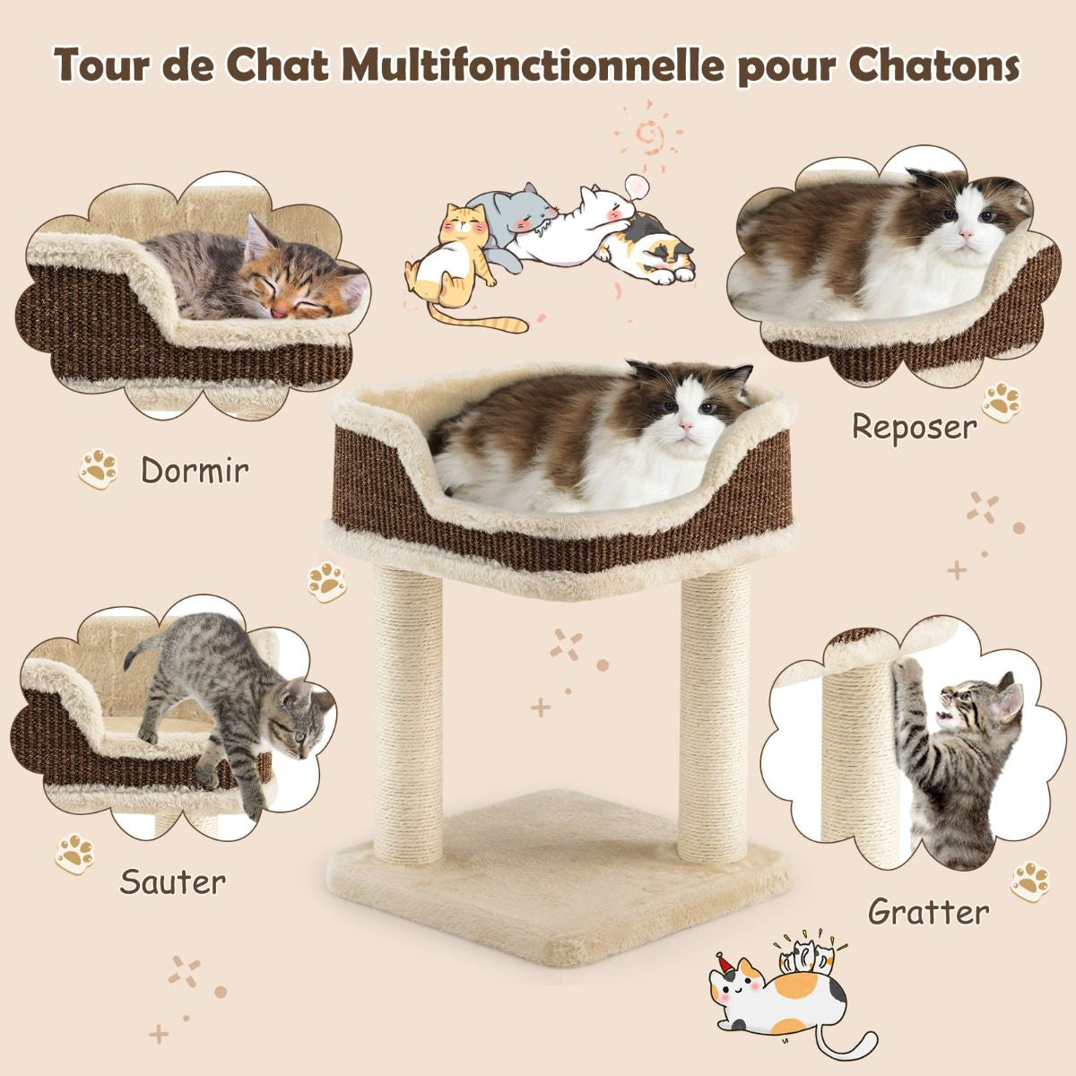 Tour D'Arbre À Chat Compacte Avec Perchoir En Peluche Et Griffoirs Pour Se Faire Ses Griffes