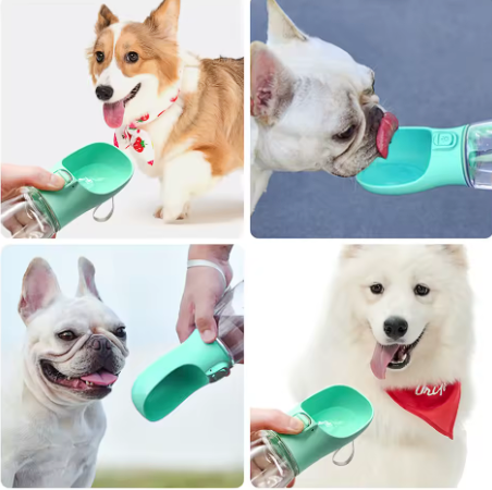 Gourde Pour vos Animaux de compagnie