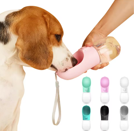 Gourde Pour vos Animaux de compagnie